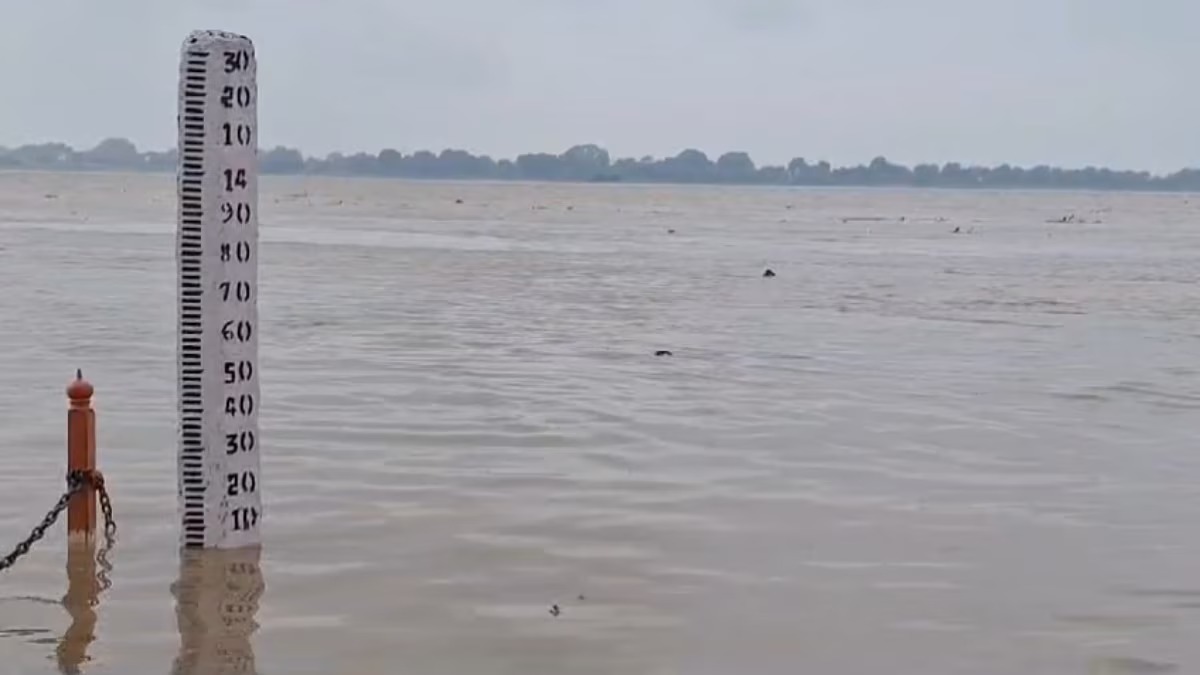 WhatsApp Image 2025-08-18 at 1.33.21 PM