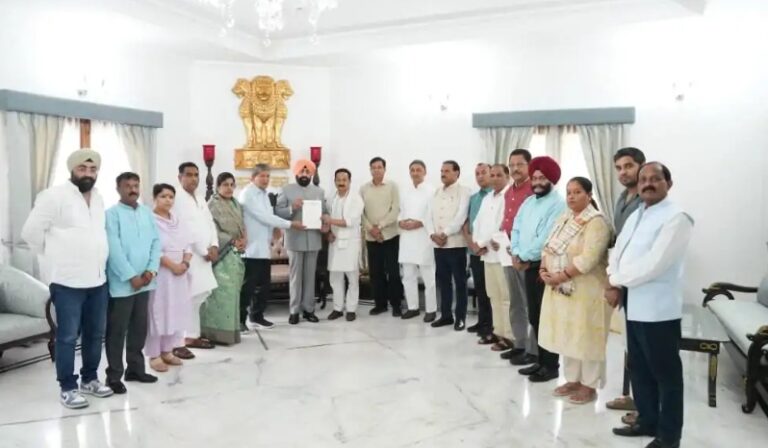 WhatsApp Image 2025-08-18 at 2.42.33 PM