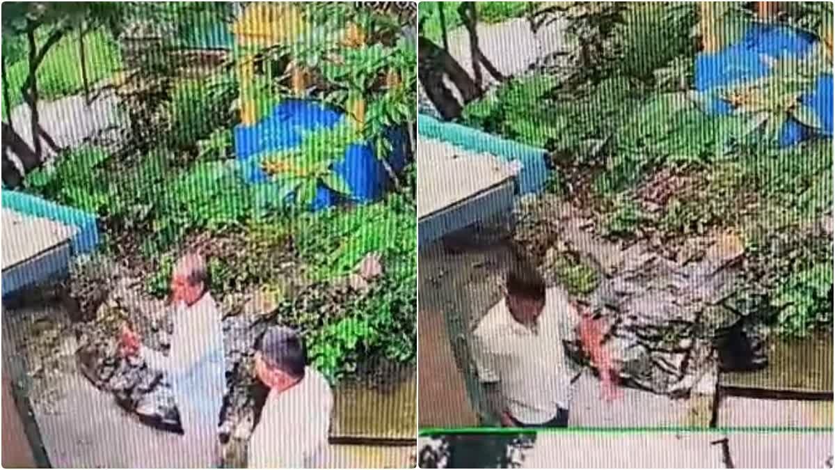 WhatsApp Image 2025-08-20 at 11.43.12 AM