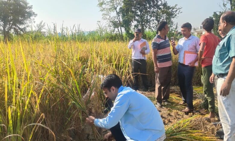 WhatsApp Image 2025-10-17 at 11.05.58 AM