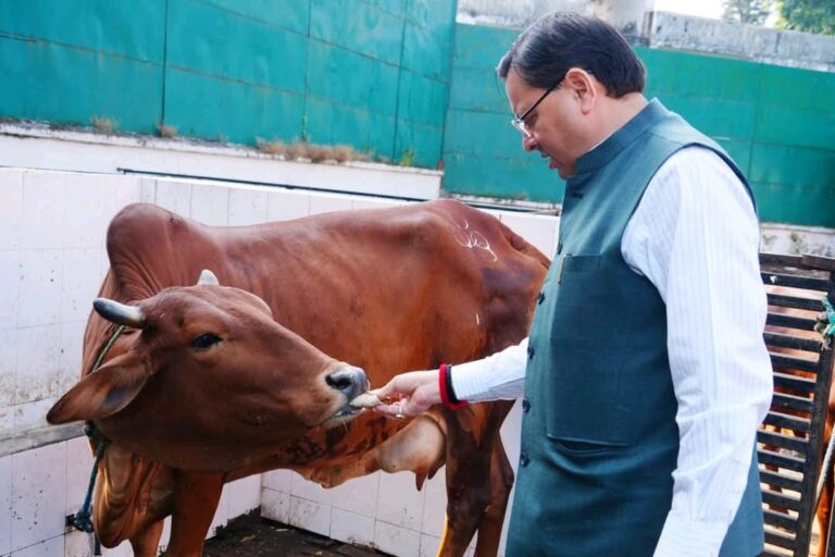 WhatsApp Image 2025-10-25 at 2.07.53 PM