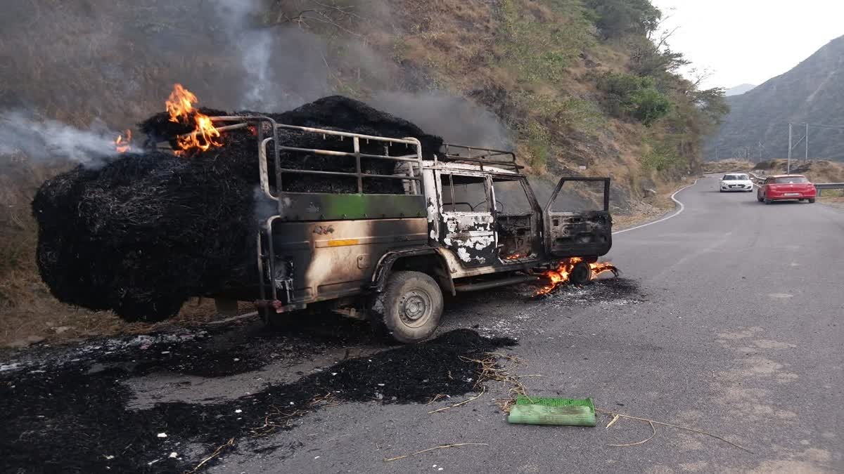 WhatsApp Image 2025-10-30 at 12.33.50 PM