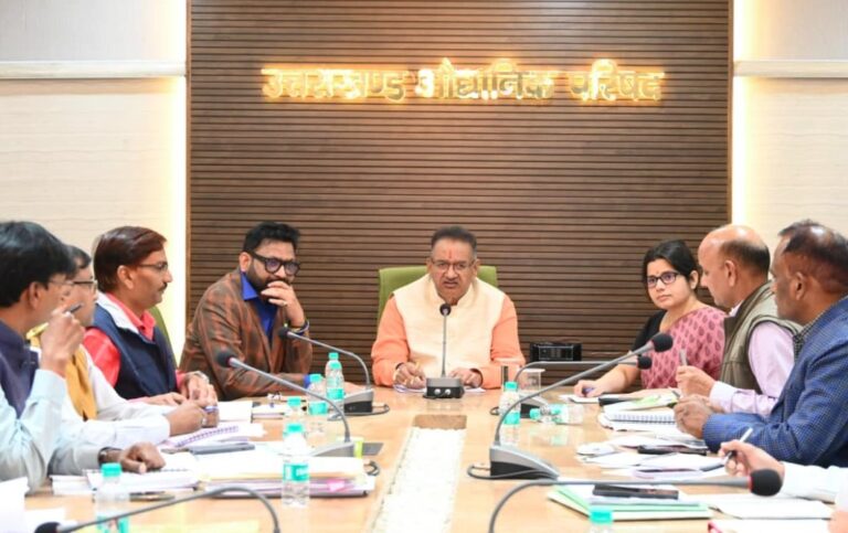 WhatsApp Image 2025-11-12 at 12.47.09 PM