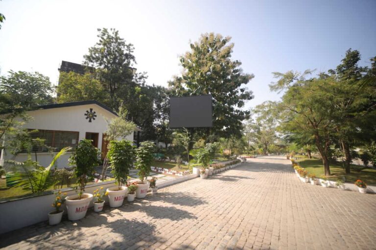 WhatsApp Image 2025-11-15 at 12.52.20 PM