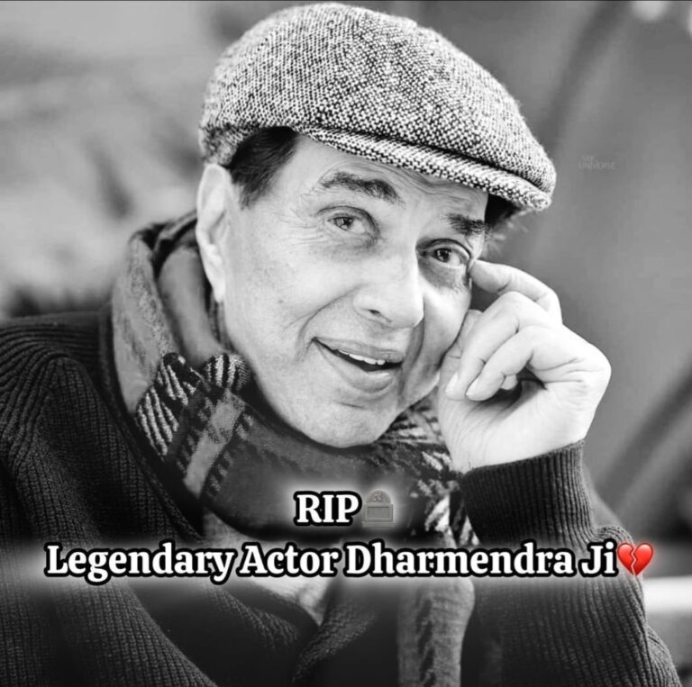 WhatsApp Image 2025-11-24 at 2.31.25 PM