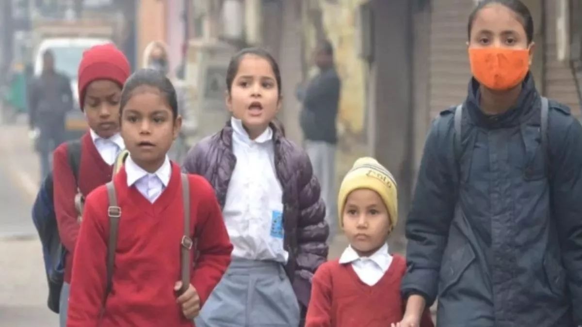 WhatsApp Image 2026-01-12 at 11.53.49 AM