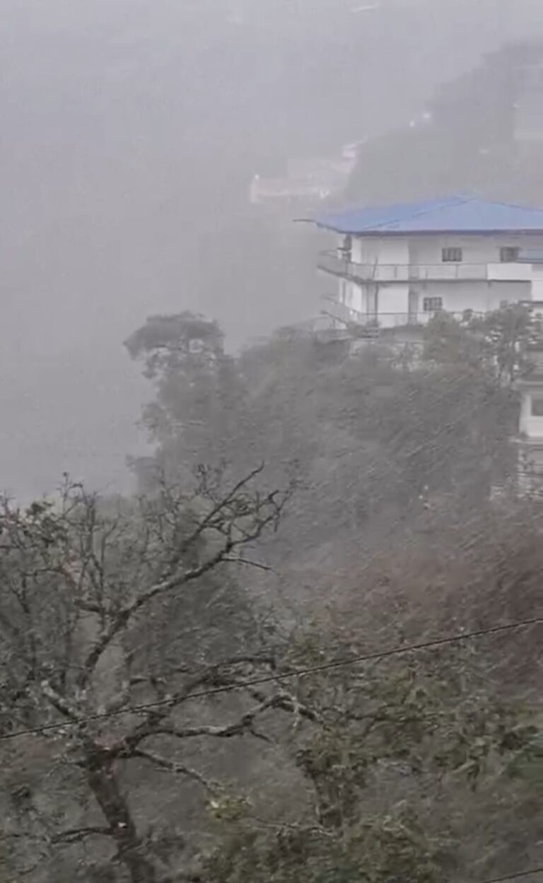 WhatsApp Image 2026-01-23 at 12.51.29 PM