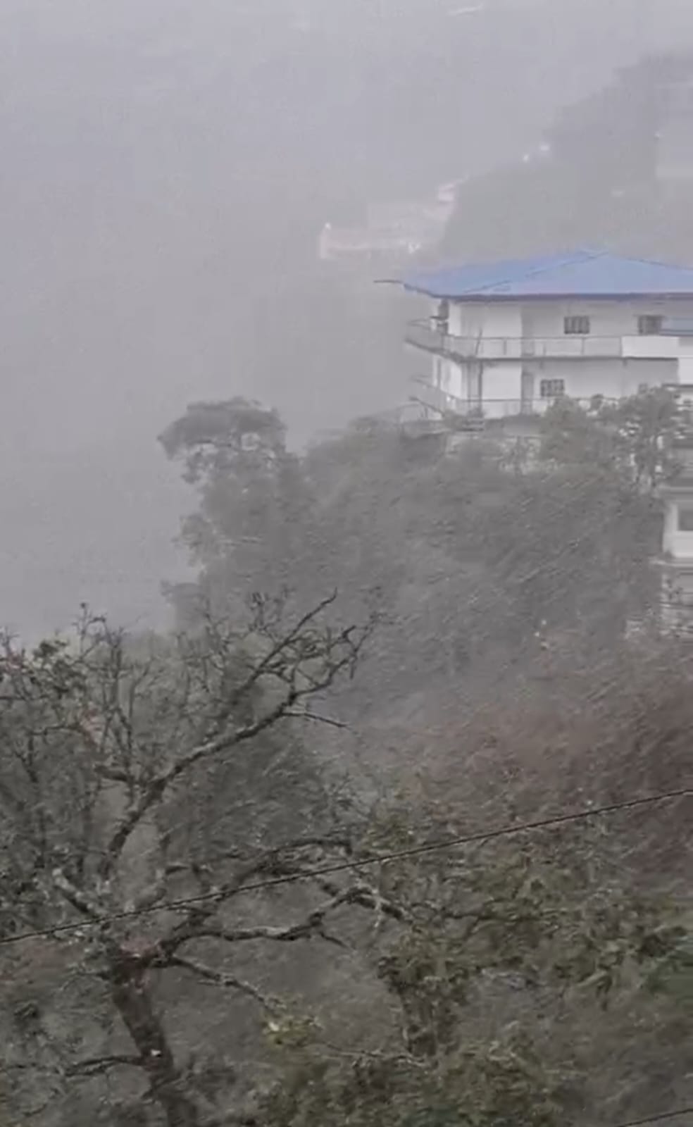 WhatsApp Image 2026-01-23 at 12.51.29 PM