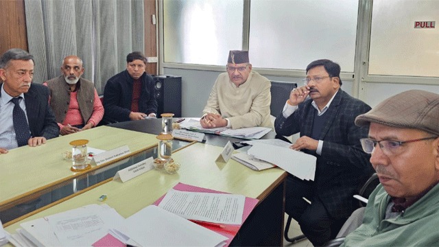 WhatsApp Image 2026-02-11 at 12.11.11 PM