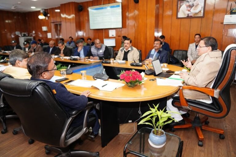 WhatsApp Image 2026-02-13 at 12.43.19 PM