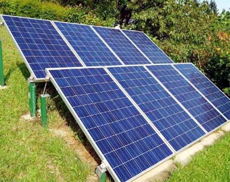 WhatsApp Image 2026-02-19 at 3.18.42 PM