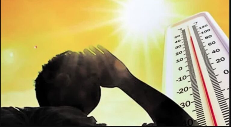 WhatsApp Image 2026-03-05 at 2.08.52 PM (1)