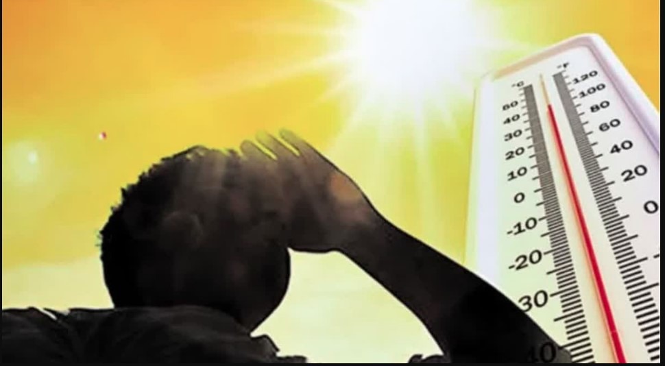 WhatsApp Image 2026-03-05 at 2.08.52 PM (1)