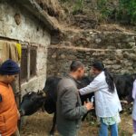 WhatsApp Image 2026-03-19 at 11.26.59 AM (2)