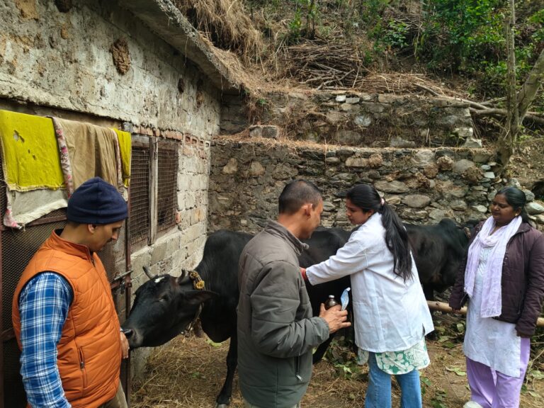 WhatsApp Image 2026-03-19 at 11.26.59 AM (2)