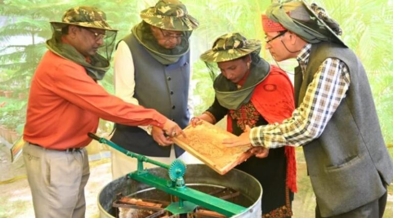 WhatsApp Image 2026-04-18 at 3.14.41 PM (1)